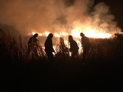 Incendiu masiv în apropiere de Tulcea