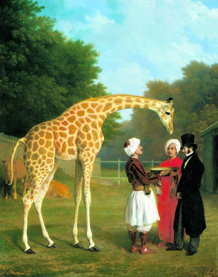 Lorenzo de Medici, George al IV-lea şi povestea tristă a primelor girafe aduse în Europa