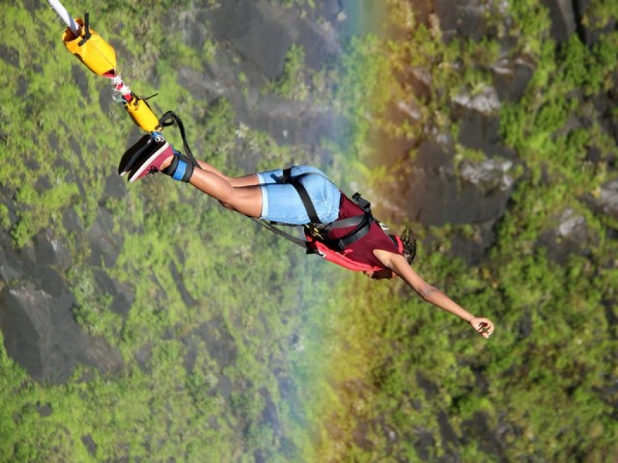 Bungee jumping în numele ştiinţei