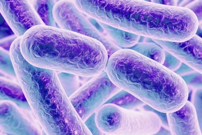 Raport: 437 de infecţii nosocomiale la Galaţi, în 2018, în special cu Clostridium difficile