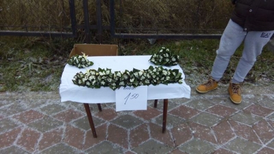 Semnele de primăvară continuă la Galaţi: Au apărut ghioceii pe tarabă