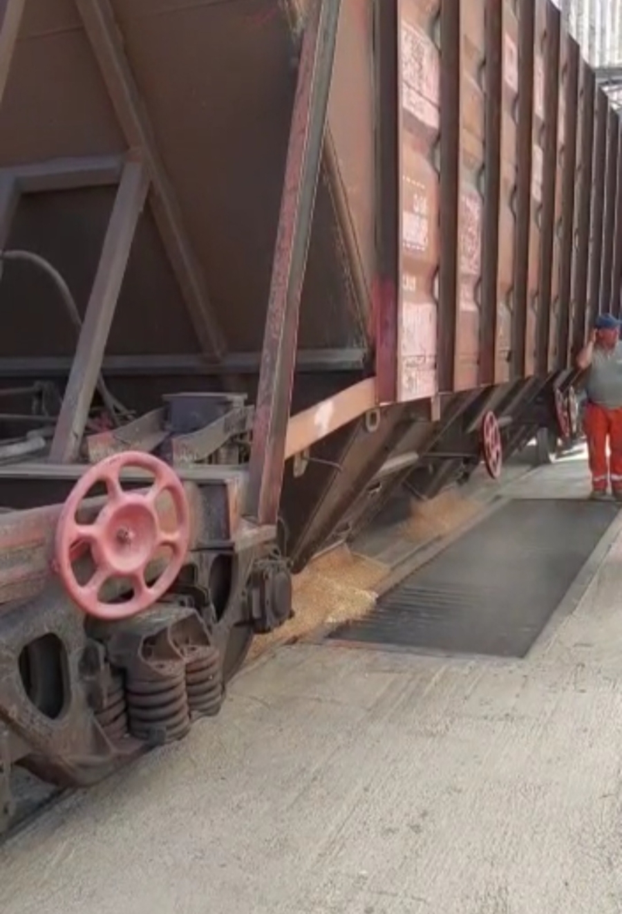 A început descărcarea trenului cu cereale din Ucraina ajuns în Portul Galați