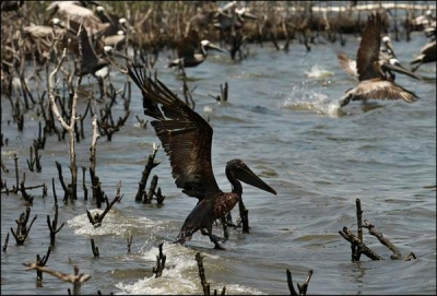 Doi ani de la catastrofa ecologică din Golful Mexic