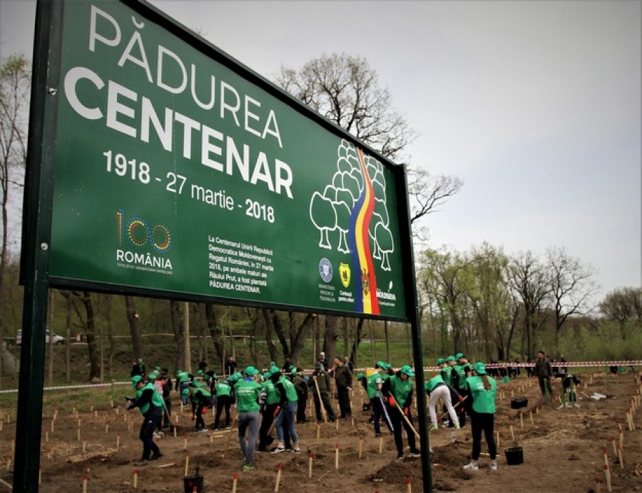 Silvicultori din România şi Republica Moldova au plantat Pădurea Centenar