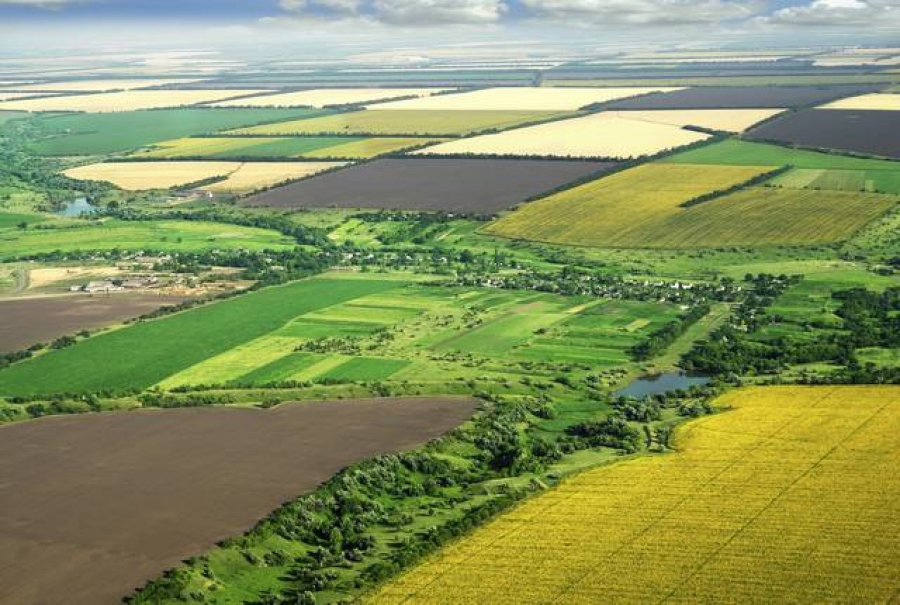 Persoanele fizice vor putea achiziţiona terenuri în limita a 150 de hectare, iar cele juridice până la 1.500 ha