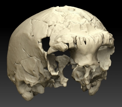 Un craniu de 400.000 de ani ar putea elucida misterul originii omului de Neanderthal