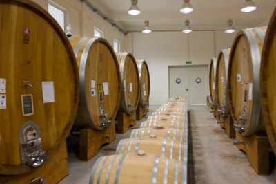 Producţia de vin a României va înregistra cea mai mare creştere procentuală din lume în 2016