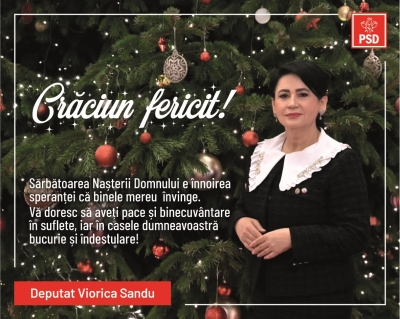 Deputat Viorica Sandu vă urează Crăciun fericit!