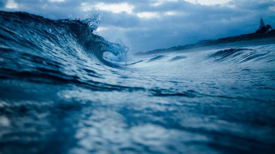 Episoadele de caniculă la nivelul oceanelor au efecte devastatoare în timp
