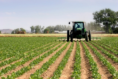 Aproape 9.000 de hectare de culturi agricole, afectate de fenomenele meteo extreme