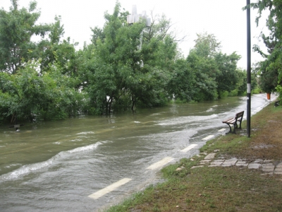 Dunărea, cu patru centimetri peste cota de inundaţie