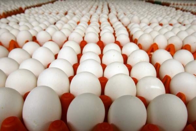 Piaţa ouălor se va regla la mijlocul lunii martie, dar preţurile nu vor scădea