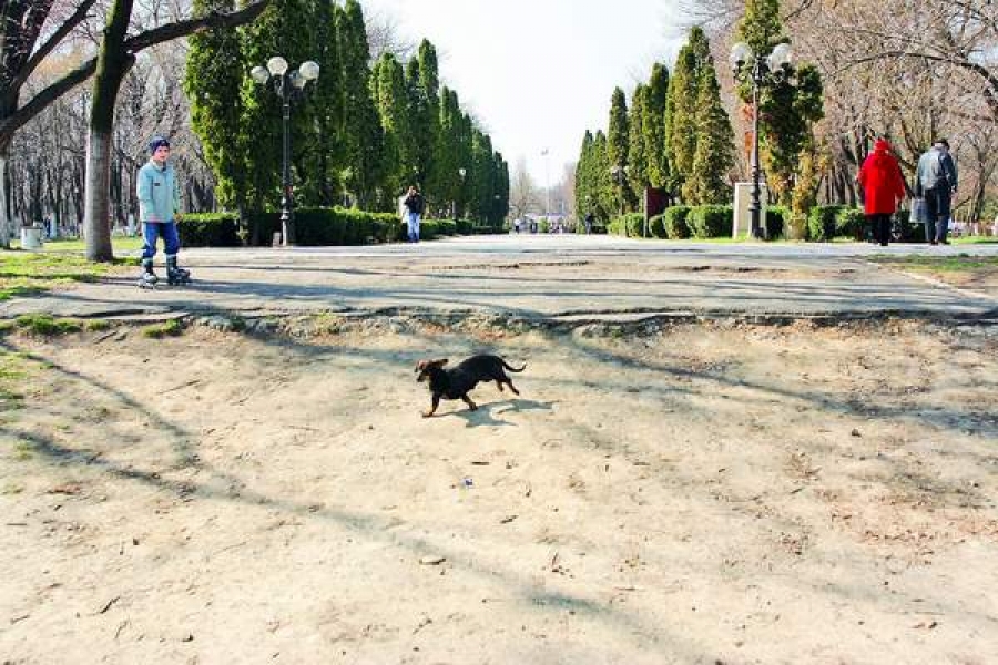 Grădina Publică, închisă 2 ani pentru modernizare