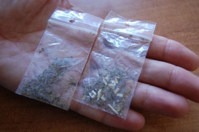 Consumatori de etnobotanice prinşi de poliţiştii locali