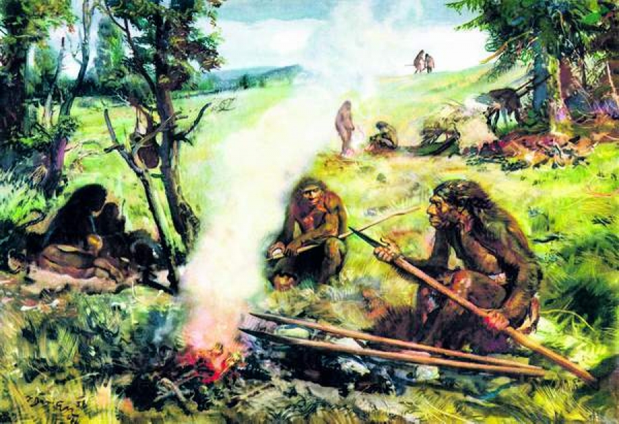 Strămoşii noştri foloseau focul încă de acum 1 milion de ani