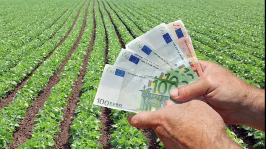Parlamentul European: Compensaţii de până la 7.000 euro pentru fermieri şi până la 50.000 euro pentru IMM-uri agroalimentare