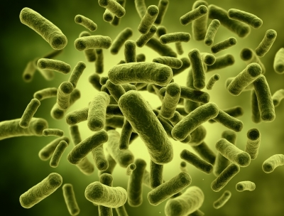 Probioticele, utile persoanelor cu o dietă nesănătoasă, dar ineficiente pentru restul