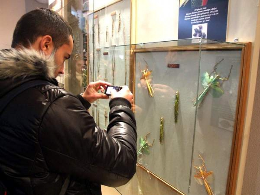 Admiraţi pe viu insectele care au inspirat producătorii de SF-uri!