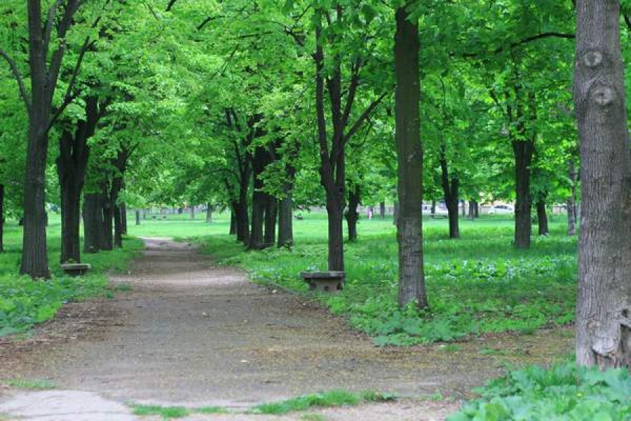 Loc de joacă pentru câini