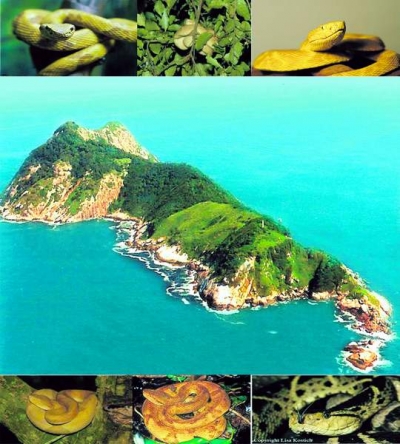 Cea mai periculoasă insulă din lume