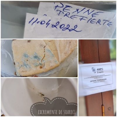 Excremente de şoareci în căni şi mâncare mucegăită, într-un restaurant din centrul Galaţiului (FOTO + VIDEO)