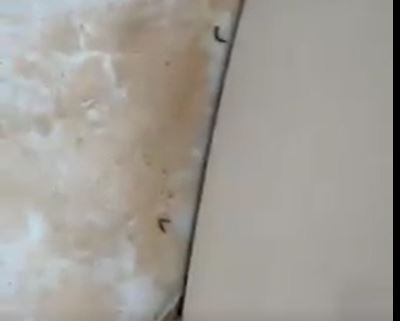 VIDEO: Viermi descoperiţi într-o baie a Spitalului de Copii din Galaţi