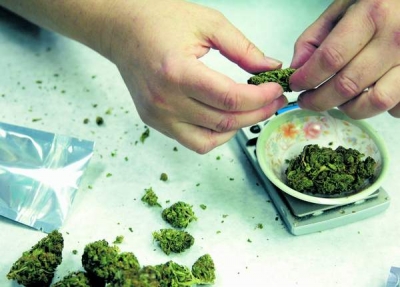 Consumul de marijuana măreşte rezistenţa creierului la traume