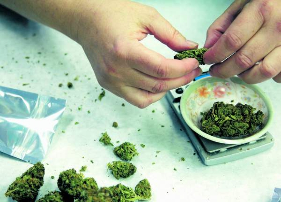 Consumul de marijuana măreşte rezistenţa creierului la traume