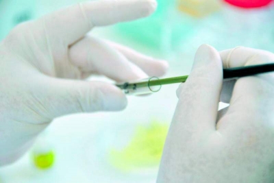 Revin în actualitate viruşii mâncători de bacterii ca alternativă la antibiotice