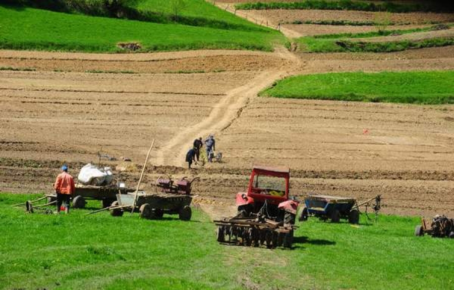 Peste 80% din parcelele agricole din România, la limita încărcăturii cu nitraţi