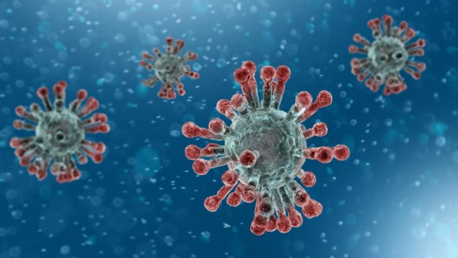 Cercetătorii au descris calea evolutivă a coronavirusului la oameni