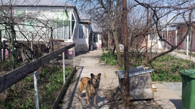 Crimă cu fierul de călcat