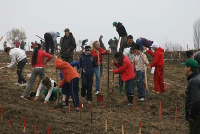 „România a prins rădăcini” la Oancea printre stropi de ploaie
