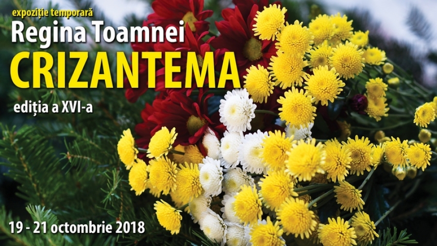 Expoziția „Regina Toamnei, Crizantema” revine la Galaţi cu ediţia a XVI-a