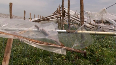 Solarii distruse după o furtună, la Matca (FOTO)