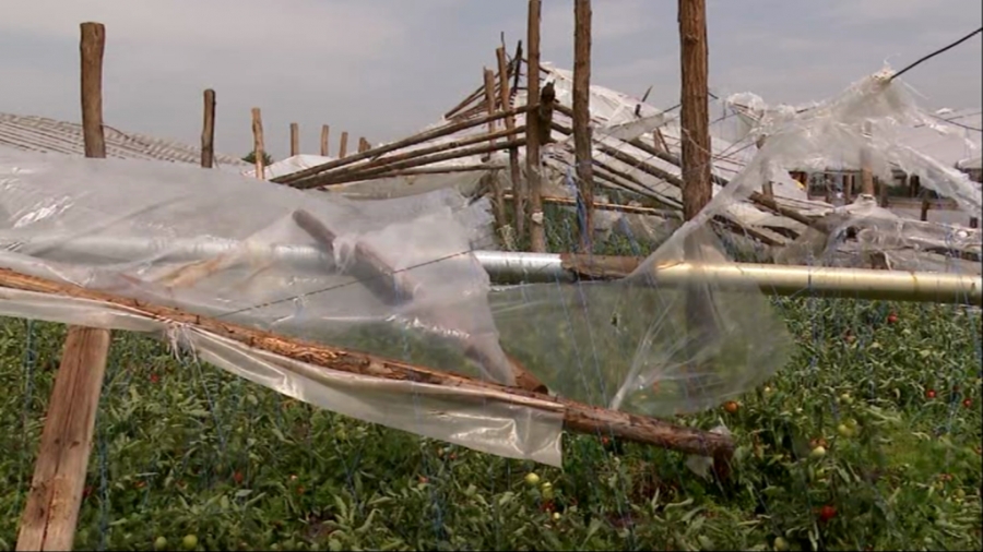Solarii distruse după o furtună, la Matca (FOTO)