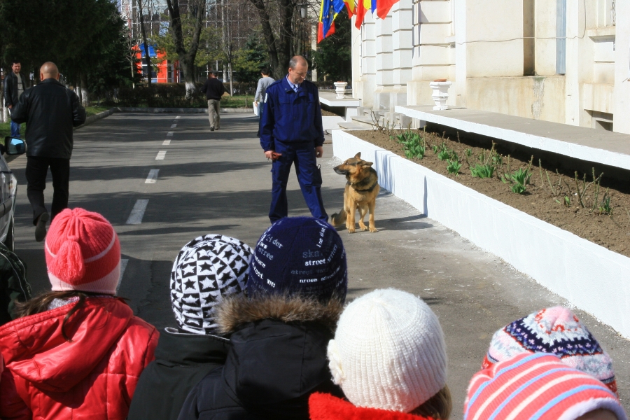 La IPJ Galaţi, exerciţii demonstrative şi Ziua Porţilor Deschise