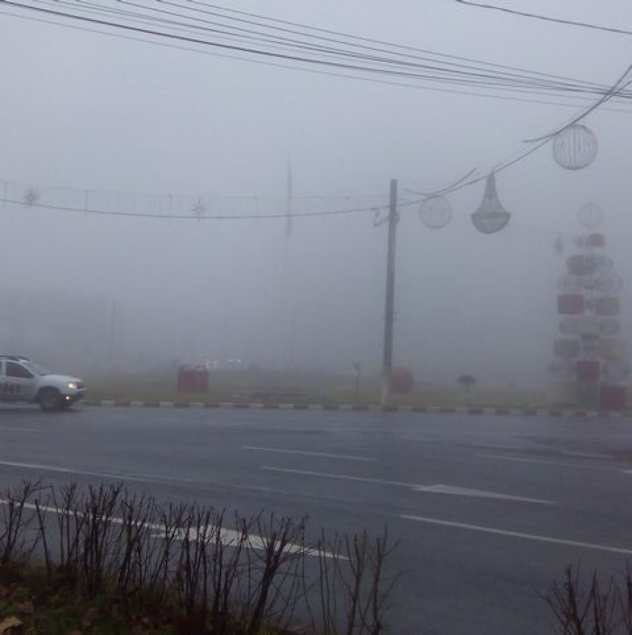 COD GALBEN de ceaţă în Galaţi