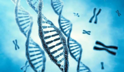 Un nou studiu arată că europenii prezintă cele mai multe mutaţii genetice nocive