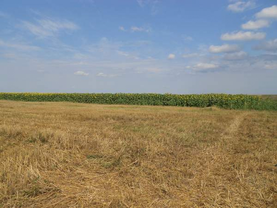 S-a schimbat radical procedura de vânzare a terenurilor agricole