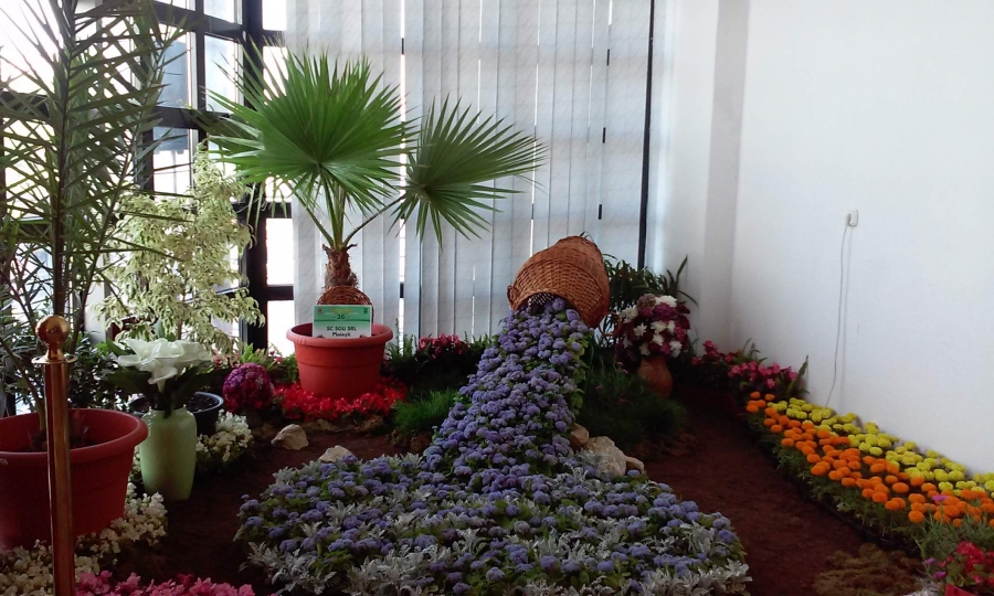 „EXPO FLORA – Flori la malul Dunării”, ediţia a XXI-a