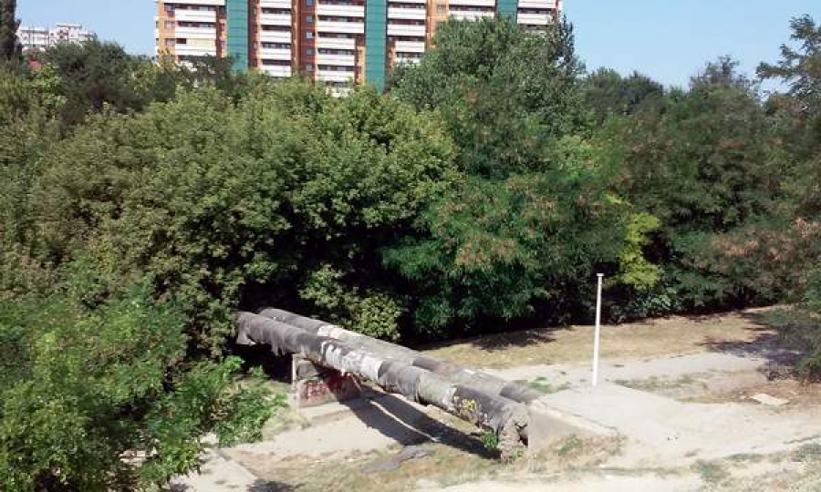 Se curăţă păduricea din groapa de la stadion