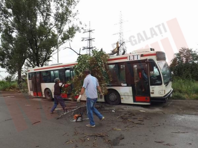 Un arbore s-a prăbuşit peste un autobuz