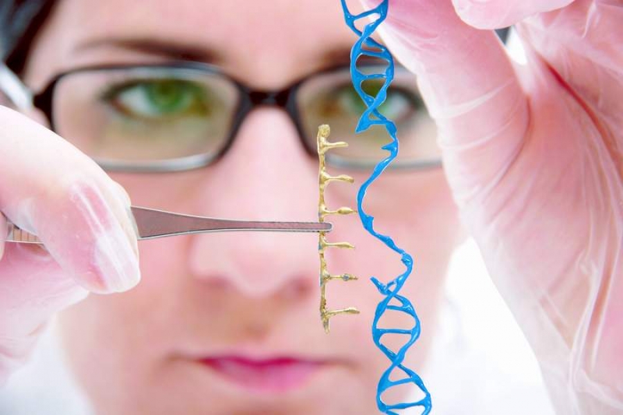 Factorii genetici au influenţă asupra vârstei primelor raporturi sexuale