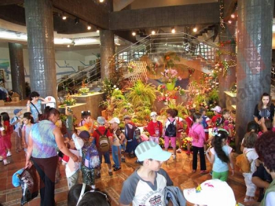 “EXPO-FLORA, Flori la malul Dunării”, ediţia a XVII-a