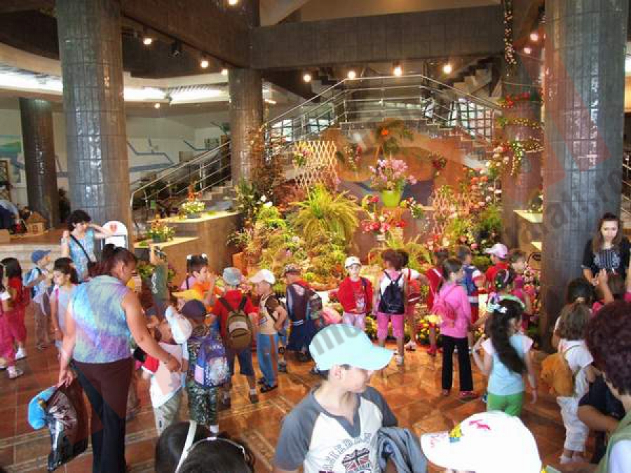 “EXPO-FLORA, Flori la malul Dunării”, ediţia a XVII-a