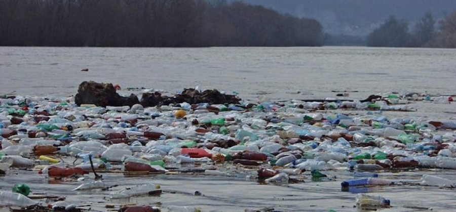 Oceanele sunt poluate de cantităţi masive de microparticule de plastic