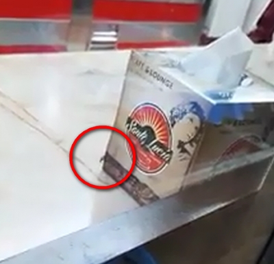 Galaţi: Val de amenzi şi fast-food închis după o infestare cu gândaci (VIDEO)