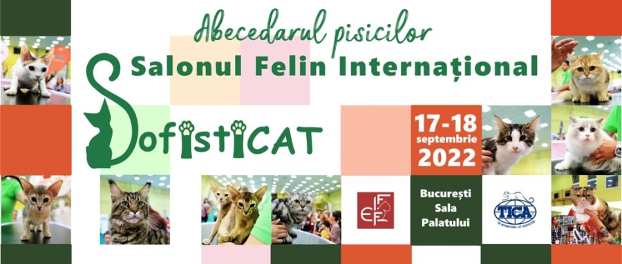 SofistiCAT - Salonul Felin Internaţional Bucureşti revine la Sala Palatului cu ediţia specială „Abecedarul Pisicilor”