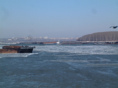 AFDJ, pregătită să intervină cu trei remorchere pentru combaterea gheţii pe Dunăre